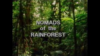 Nomads of the Rain Forest: Exploring Life in the Amazon