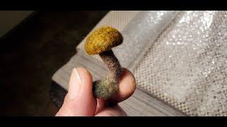 How to make a basic wet felted mushroom - tutorial #1