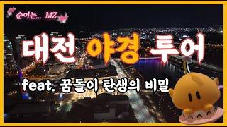 (feat. 꿈돌이) 대전 토박이 추천 야경 투어!!