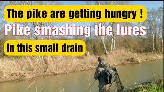 lure fishing pike in small drains