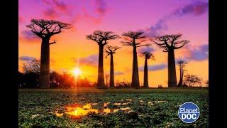 A huge nation in southeastern Africa: this is Madagascar (FULL DOCUMENTARY)