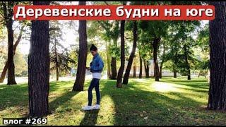 ПРЕКРАСНАЯ ОСЕНЬ В АНАПЕ | В ПОДВАЛЕ | САЖАЕМ | ГУЛЯЕМ | РАЗБИРАЕМ | Переезд из Москвы