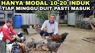 KEUNTUNGAN PETERNAK MANDIRI MODAL 10 INDUK‼️