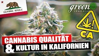 Was macht CANNABIS aus Kalifornien so besonders? | GreenConnection in Los Angeles & San Francisco