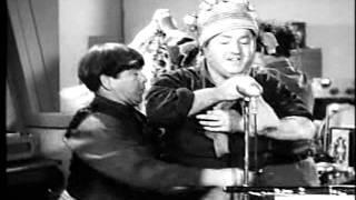 Stooge Clip of the Week: "Microphoney"