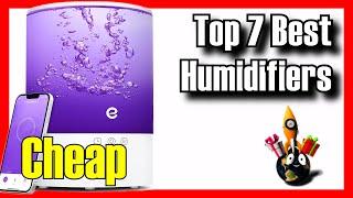 ️ TOP 7 BEST Budget Humidifiers To Buy on Amazon [2024][Cheap] For Home / Bedroom / Large Rooms