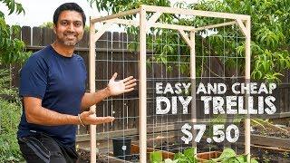 How to Make Easy and Cheap Trellis