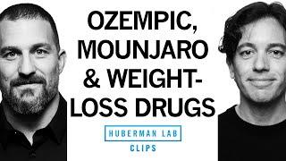 How Do Ozempic, Mounjaro & Other GPL-1 Agonists Work? | Dr. Zachary Knight & Dr. Andrew Huberman