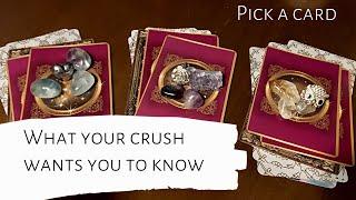 Pick A Card  What Your Crush Wants You To Know 