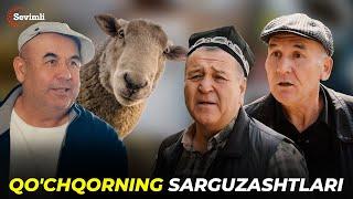 QAHQAHA - QO'CHQORNING SARGUZASHTLARI