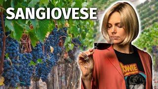 Wine Grapes 101: SANGIOVESE