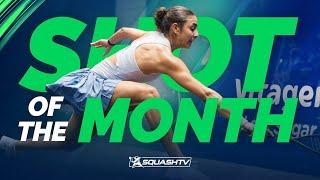 Squash Shot of the Month - November & December 2024 