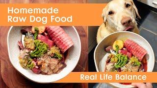 Homemade Raw Dog Food  Species-Appropriate, Whole-Foods Diet 