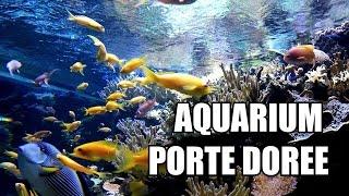 #56 - Aquarium Porte Dorée à Paris : que c'est beau ! - GoPro 4