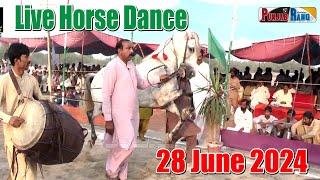 Horse Dance Live l  Punjab Pakistan l  Horse l Minchanabad l 28 June 2024 l Hoprse Dancer