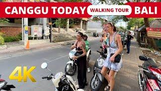  BALI CANGGU Today Full Tour [4K] Bali Indonesia Walking Tour 2023 | Bali Travel Vlog