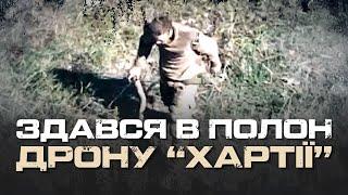 19-ЛЕТНИЙ РОССИЙСКИЙ ШТУРМОВИК ВЫЖИЛ ОДИН ИЗ ВЗВОДА И ВЗЯТ В ПЛЕН ДРОНОМ. ЛИПЦЫ.