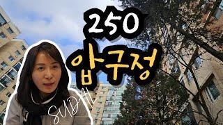 #압구정재건축 신축때 250M 인 까닭? #압구정현대 #압구정한양 #압구정미성 #압구정수달