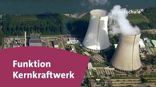 Wie funktioniert ein Kernkraftwerk? | Planet Schule