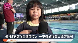 一支蝶泳视频火爆游泳圈  泰国5岁女孩被封"天才"【2024.12.13 八度空间华语新闻】