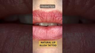 Lip Blush Tattoo: BEFORE /  AFTER / Natural HEALING Orange County ALENA PAT #lipblushtattoo #pmulips