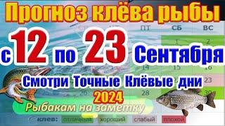 Прогноз клева рыбы на неделю с 12 по 23 Сентября Прогноз клева Лунный Календарь рыбака