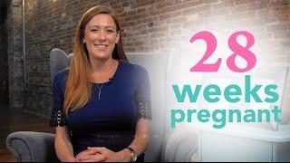 28 Weeks Pregnant - Ovia Pregnancy