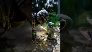 #babyyoda #starwars #grogu #mandalorian #yoda #goldenfish #рекомендації #asmr #csgo #коти