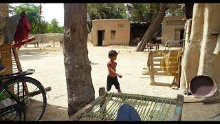 Natural Village Life In Punjab Pakistan