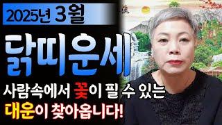 {닭띠운세} 2025년 닭띠 3월 운세대운이 들어오는 나이는? 33세 45세 57세 69세 닭띠 나이별로 ㅇㅇ은 조심! #서울점집 장안동 방울보살