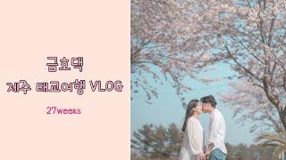 [임신Vlog] 임신27주, 제주도에서 만삭스냅 찍고 태교여행한 일상