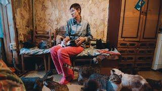 В Тюмени женщина приютила 120 котов | 72.ru