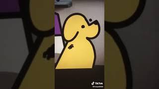 The vet tec Tik Tok