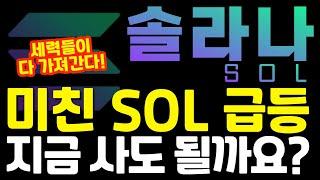 [솔라나 SOL] 세력들이 다 가져간다!!  미친 솔라나 급등!! 지금 사도 될까요?