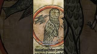 Animais estranhos na arte medieval! #historia #fatoscuriosos #curiosidades #historia #medieval