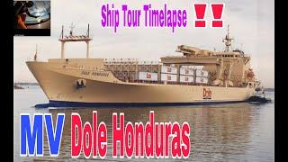 Reefer Ship Dole Honduras Ship Tour Timelapse by Best Crew Japhet Tumanda