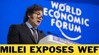 Javier Milei DESTROYS World Economic Forum In Davos 