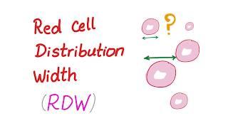 Red Cell Distribution Width (RDW) - What Does This Lab Test REALLY Mean?