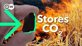 Biochar: How burning stubble could FIGHT air pollution