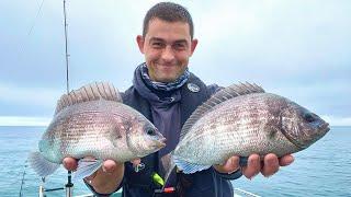 Sea Fishing UK - Winter Fishing - Amazing session catching delicious Fish | The Fish Locker