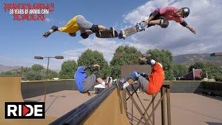 Animal Chin 30 Years - Tony Hawk, Steve Caballero, Mike McGill & Lance Mountain 2/4