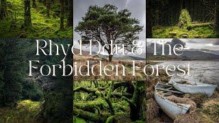 Rhyd Ddu, North Wales | Woodland & Landscape Photography | Welcome to Narnia, The Forbidden Forest