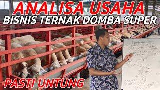 ANALISA BISNIS TERNAK DOMBA SUPER UNTUNG BESAR SISTEM KEMITRAAN ALA BAROKAH FARM KEDIRI