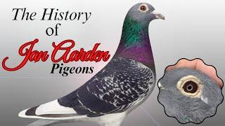 The history of Jan Aarden pigeons #racingpigeons