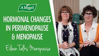 Hormonal changes in perimenopause and menopause: What you need to know