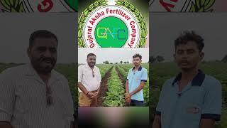 A short video of what farmers do and what fertilizers they use to increase production