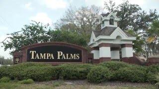 Tampa Palms New Tampa Florida