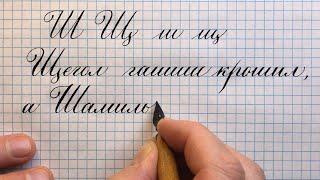 Строчная и прописная, заглавная буква русского алфавита Ш и Щ. Как писать красивым почерком.