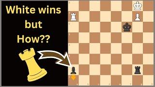 Odd Chess Puzzle that Needs to be Solved "Immediately"!