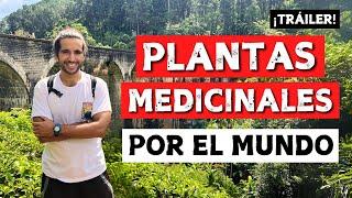 SERIE - Vuelta al mundo a través de las plantas medicinales